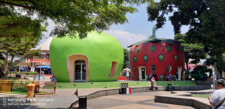Apel Raksasa Buah Apel Raksasa di Alun-alun Kota Batu Malang - Berita Daerah