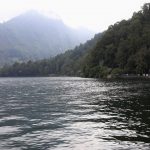 hutan Jawa