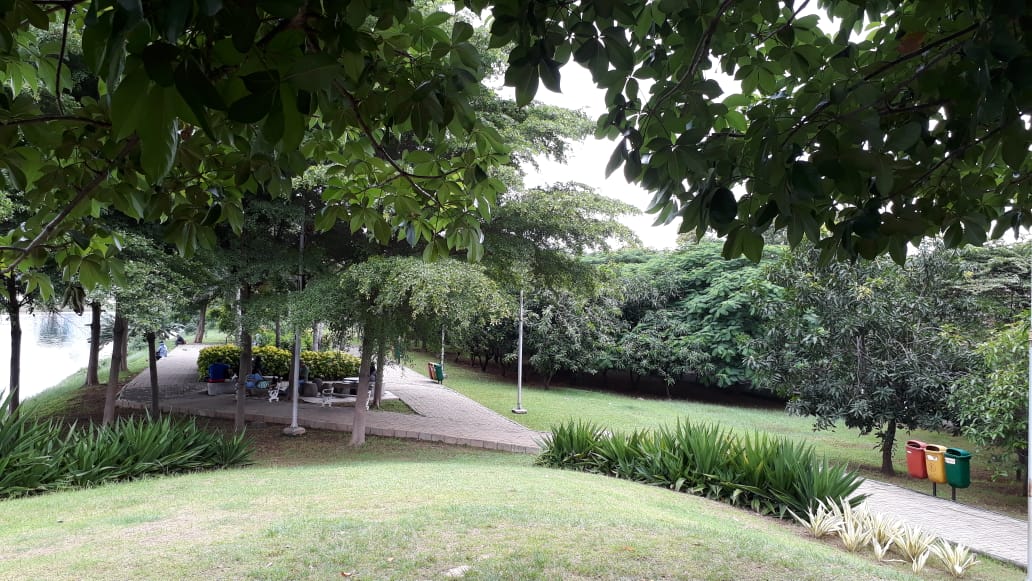 Menikmati Ria Rio Taman Waduk Dengan Ikon Pohon Baobab Berita Daerah