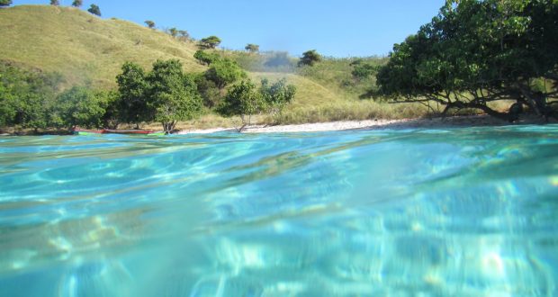 Taman Nasional Komodo dan Labuan Bajo Dibuka 15 Juni 2020 - Berita Daerah