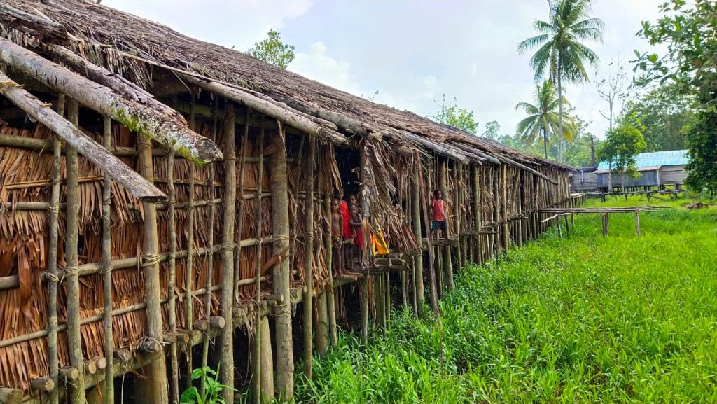 Rumah Jew atau Rumah Bujang  Rumah Adat Suku Asmat  Berita Daerah