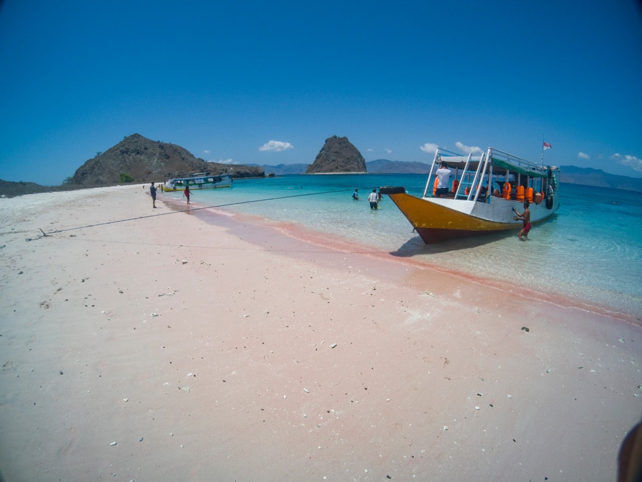 Pink Beach Labuan Bajo Masuk 7 Pantai Unik Dunia Berita Daerah