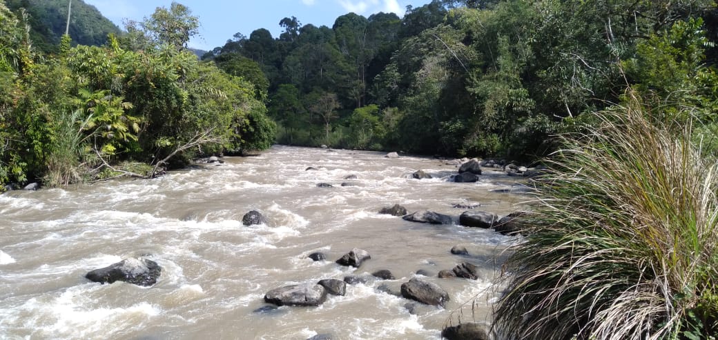 Sungai