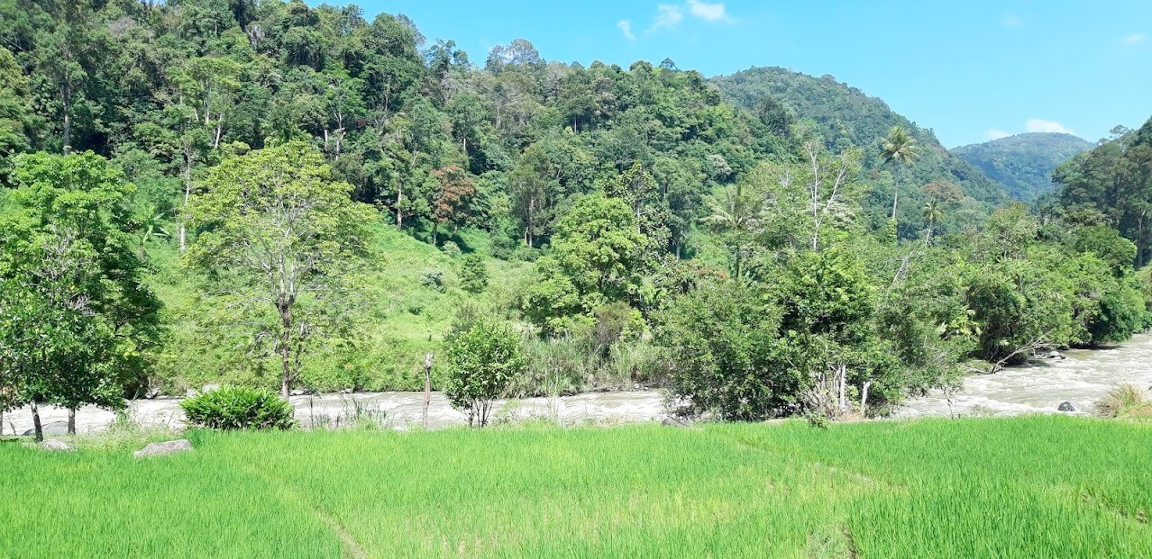 Hydropower
