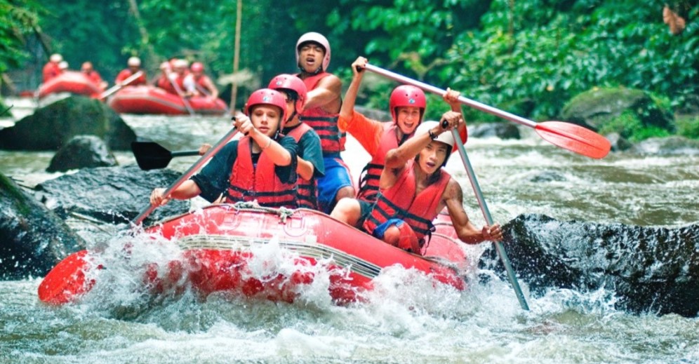 Wisatawan
