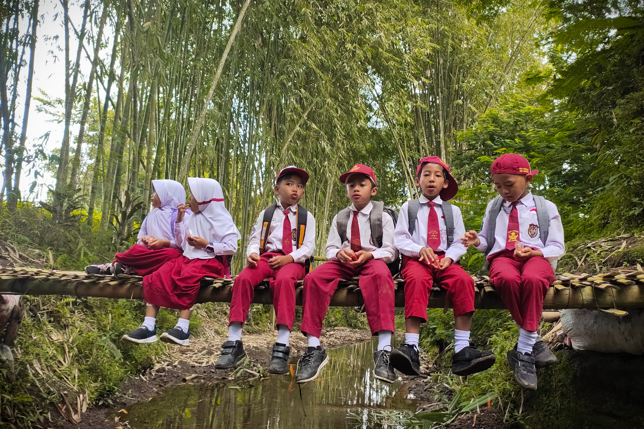 Pendidikan