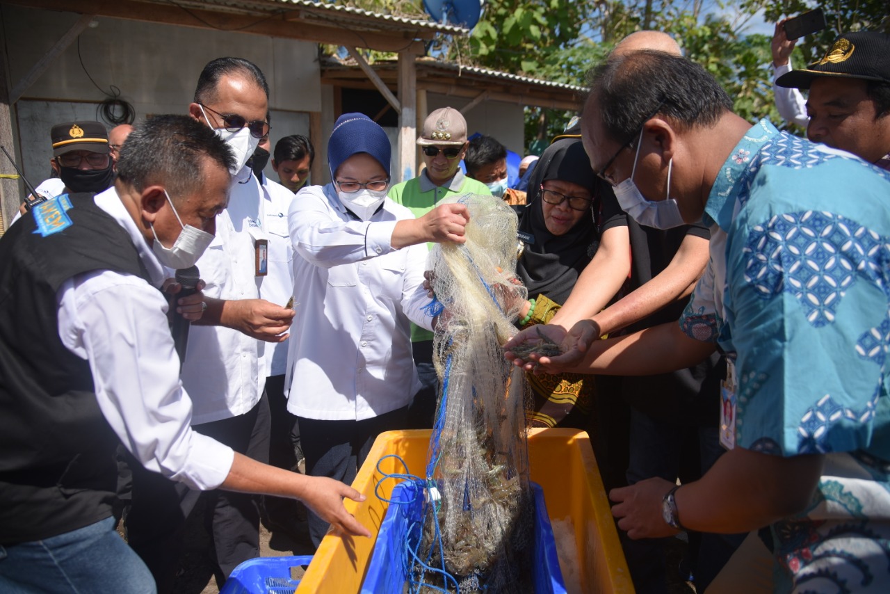 LPEI Bangun Desa Devisa Kluster Udang di Situbondo