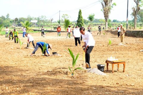 Presiden Jokowi Lakukan Penanaman Kelapa Genjah Bersama Ratusan Petani