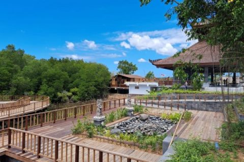 Penataan Kawasan Mangrove Tahura Ngurah Rai Bali Sedang Dilakukan