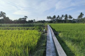Program Padat Karya Tunai Melalui P3-TGAI Jangkau 10.000 Lokasi
