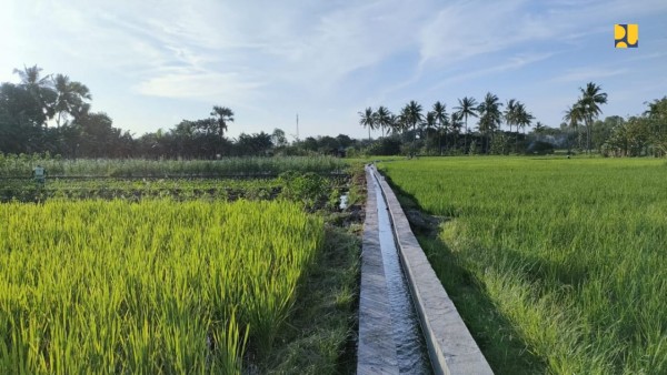 Program Padat Karya Tunai Melalui P3-TGAI Jangkau 10.000 Lokasi