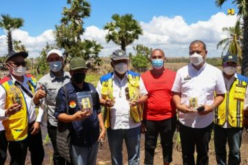 Menteri PUPR Meninjau Lokasi Lahan Pertanian Sorgum di Sumba Timur