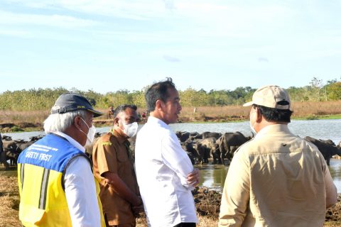 Presiden Bertemu Peternak Kerbau di Desa Werwaru, Pulau Moa