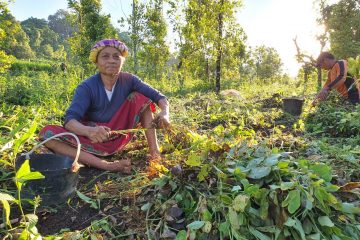 POtensi Desa Wisata Campaga