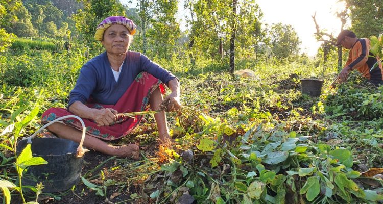 POtensi Desa Wisata Campaga