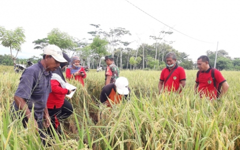 Upaya Pemerintah hadapi Inflasi Tinggi