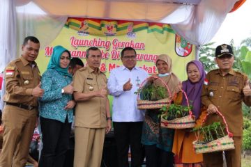 Pekanbaru galakkan Tanam Cabai