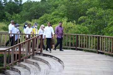 Presiden Jokowi Meninjau Tahura Ngurah Rai Bali