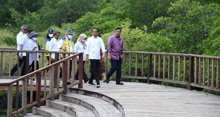 Presiden Jokowi Meninjau Tahura Ngurah Rai Bali