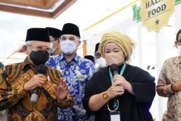 Optimalkan Modalitas dan Kekuatan Domestik yang Dimiliki Indonesia