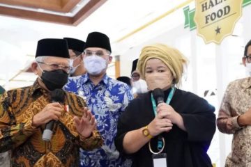 Optimalkan Modalitas dan Kekuatan Domestik yang Dimiliki Indonesia
