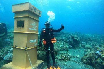 Post Box Underwater di Banyuwangi Telah Diresmikan