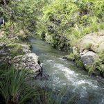 energi bersih Sungai hijau