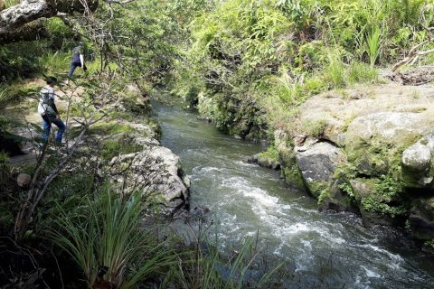 energi bersih Sungai hijau