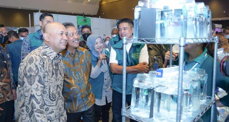 UMKM Ikan Hias Air Tawar