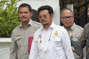 Presiden Minta Menteri Pertanian Cek Faktual Stok Beras Saat Ini