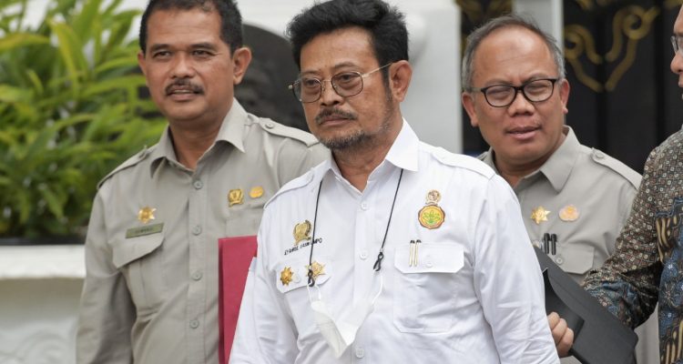 Presiden Minta Menteri Pertanian Cek Faktual Stok Beras Saat Ini