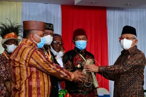 Percepatan Pembangunan Kesejahteraan Papua Diupayakan Pemerintah