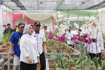 Kekuatan Ekonomi Desa Purworejo Lumajang