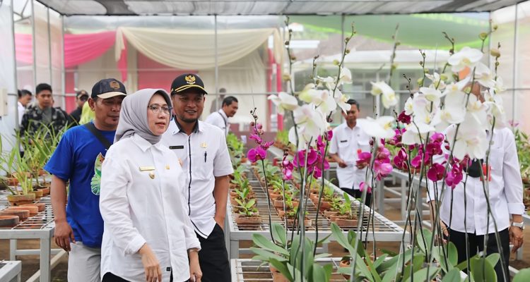 Kekuatan Ekonomi Desa Purworejo Lumajang
