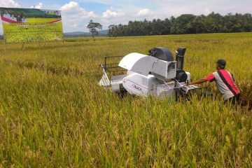 Generasi Milenial Sulawesi Tengah Bangun Pertanian Modern