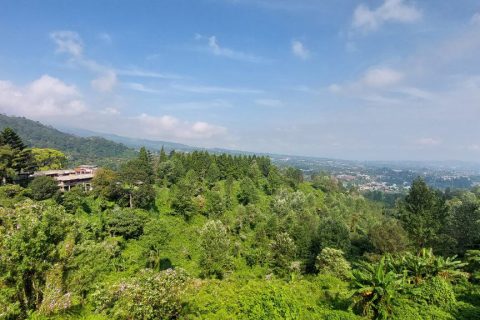 Puncak Bogor