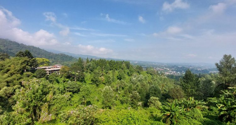 Puncak Bogor