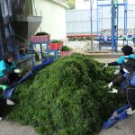 Saat ini, Unit Pengolahan Rumput Laut (UPRL) tersebut telah mempekerjakan sekitar 66 orang mulai dari budidaya, pengolahan hingga distribusi. Selain itu, UPRL ini mampu menyerap bahan baku sekitar 400 ton rumput laut per bulan yang diambil dari daerah Buleleng, Klungkung, Denpasar, Banyuwangi, Situbondo, Sumenep, Lombok Timur, dan Sumbawa.