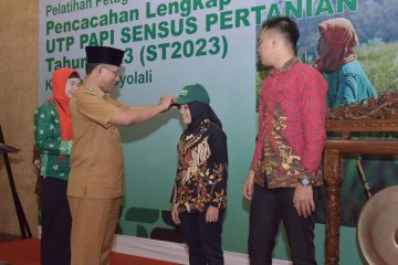 Sekitar 900 petugas sensus yang terdiri dari PPL (petugas lapangan), PML (petugas pemeriksa) dan Koseka, yakni organik BPS yang bertugas mengoordinasikan kegiatan sensus pertanian di masing-masing kecamatan akan diterjunkan dalam pelaksanaan sensus pertanian 2023 ini.