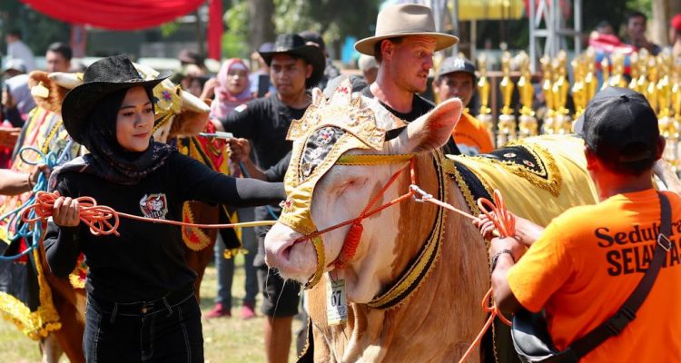 Serunya Parade Hewan Ternak di Banyuwangi Livestock Contest 2023