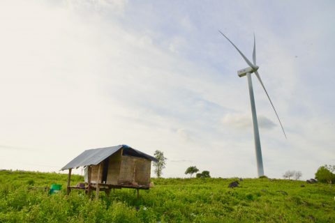 Transisi Energi IDXCarbon