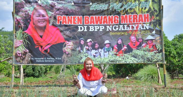 Bawang Merah Semarang