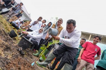 Program Hortikultura Dorong Ekonomi Hijau