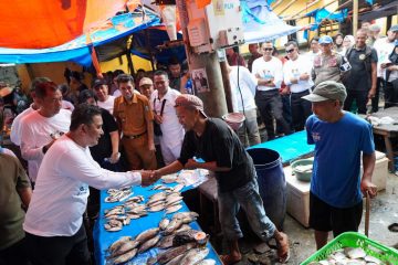 ebijakan Pemkot Wali Kota Parepare lewat inovasi KOPI ini dianggap sangat masif. Langkah Pemkot Parepare cukup operasi pasar dua kali seminggu, dan mengetahui bagaimana kesiapan kebutuhan pokok dan stok di pasar.
