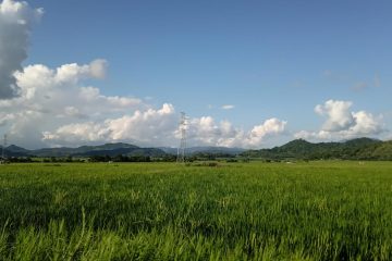 Swasembada, Ketahanan, Kedaulatan Pangan