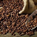 kopi kerinci