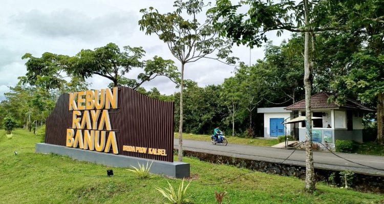 Kebun Raya Banua berhasil melampaui target pendapatan di 2024 dari target Rp1.3 Miliar dan berhasil terealisasi menjadi Rp1.6 Miliar