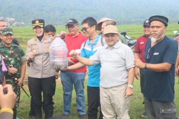 Direktur Perlindungan Tanaman Pangan, Rachmat, menekankan bahwa pengendalian hama tikus harus dilakukan bersama-sama. Menurutnya, gropyokan atau perburuan tikus sebelum masa tanam terbukti efektif.