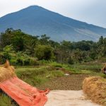 Menteri Pekerjaan Umum, Dody Hanggodo, menunjukkan komitmennya mendukung ketahanan pangan nasional lewat teknologi keren bernama IPHA (Irigasi Padi Hemat Air). Ia hadir langsung di acara Panen Demplot dan Pameran Hasil Panen IPHA di Daerah Irigasi Rentang, Jawa Barat