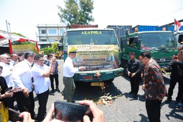 Berdasarkan data Dinas Koperasi, Usaha Mikro, dan Perdagangan (Diskopumdag) Kabupaten Banyuwangi, produk dari daerah ini telah menembus pasar di 80 negara yang tersebar di Asia, Afrika, Eropa, Amerika, dan Australia. Komoditas yang diekspor juga sangat beragam, terdiri dari 27 jenis, di antaranya ikan hias, batu apung, koral, ikan kaleng, produk kayu jati, kopi, hingga pupuk cair.